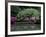 Reflecting pool and Rhododendrons in Japanese Garden, Seattle, Washington, USA-Jamie & Judy Wild-Framed Photographic Print