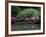 Reflecting pool and Rhododendrons in Japanese Garden, Seattle, Washington, USA-Jamie & Judy Wild-Framed Photographic Print