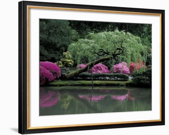 Reflecting pool and Rhododendrons in Japanese Garden, Seattle, Washington, USA-Jamie & Judy Wild-Framed Photographic Print