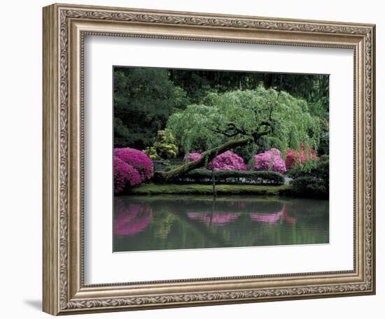 Reflecting pool and Rhododendrons in Japanese Garden, Seattle, Washington, USA-Jamie & Judy Wild-Framed Photographic Print