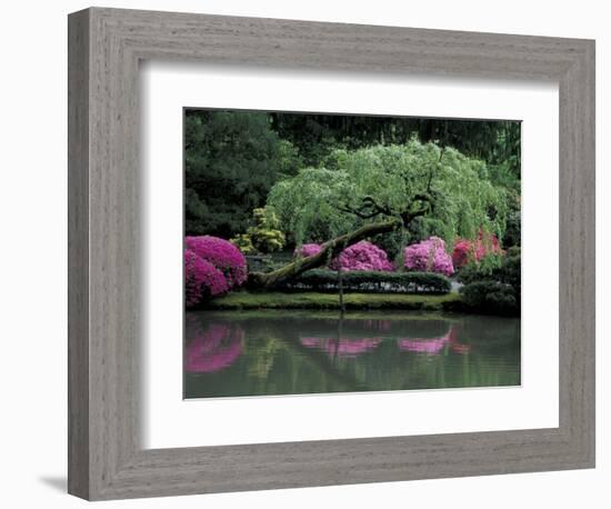Reflecting pool and Rhododendrons in Japanese Garden, Seattle, Washington, USA-Jamie & Judy Wild-Framed Photographic Print
