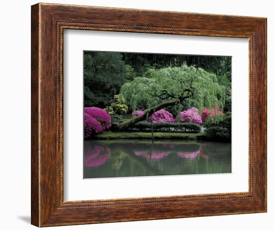 Reflecting pool and Rhododendrons in Japanese Garden, Seattle, Washington, USA-Jamie & Judy Wild-Framed Photographic Print