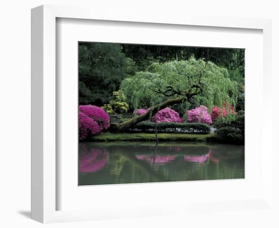 Reflecting pool and Rhododendrons in Japanese Garden, Seattle, Washington, USA-Jamie & Judy Wild-Framed Photographic Print