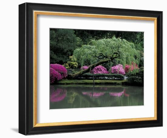 Reflecting pool and Rhododendrons in Japanese Garden, Seattle, Washington, USA-Jamie & Judy Wild-Framed Photographic Print