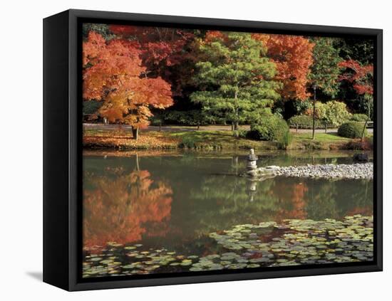 Reflecting Pool in Japanese Garden, Seattle, Washington, USA-Jamie & Judy Wild-Framed Premier Image Canvas