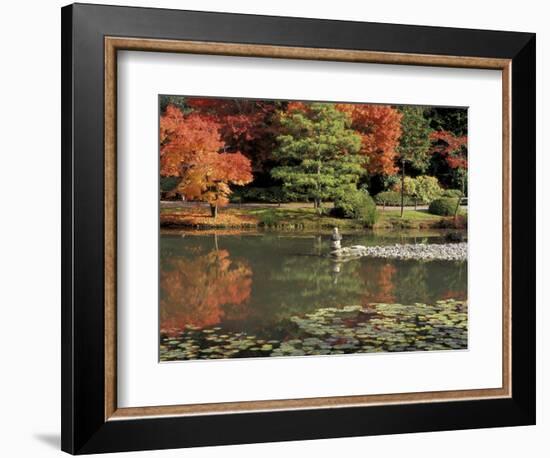 Reflecting Pool in Japanese Garden, Seattle, Washington, USA-Jamie & Judy Wild-Framed Photographic Print