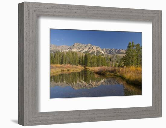 Reflection, Big Wood River, Autumn, Sawtooth NF,  Idaho, USA-Michel Hersen-Framed Photographic Print