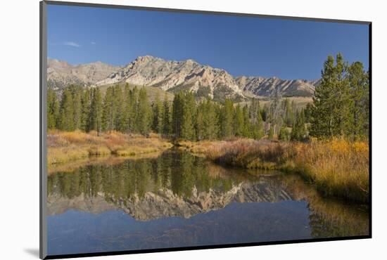 Reflection, Big Wood River, Autumn, Sawtooth NF,  Idaho, USA-Michel Hersen-Mounted Photographic Print