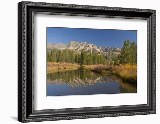 Reflection, Big Wood River, Autumn, Sawtooth NF,  Idaho, USA-Michel Hersen-Framed Photographic Print