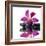 Reflection for Black Pebbles with Beauty Red Flower-crystalfoto-Framed Photographic Print