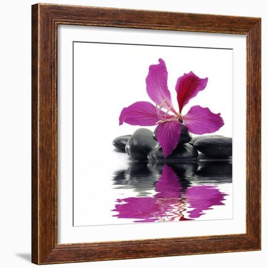 Reflection for Black Pebbles with Beauty Red Flower-crystalfoto-Framed Photographic Print