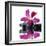 Reflection for Black Pebbles with Beauty Red Flower-crystalfoto-Framed Photographic Print