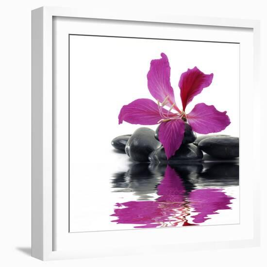 Reflection for Black Pebbles with Beauty Red Flower-crystalfoto-Framed Photographic Print