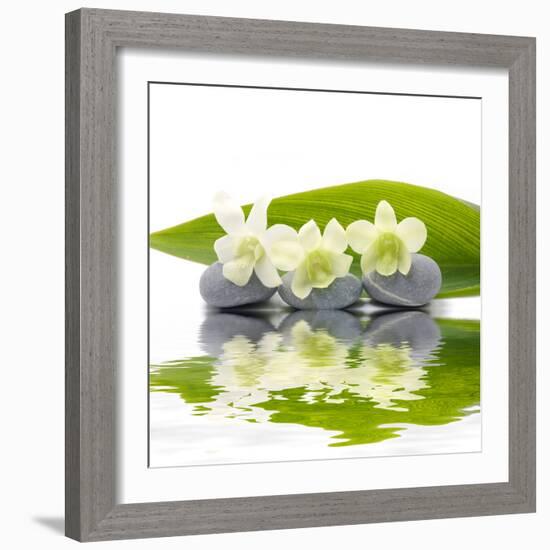 Reflection for Zen Stones and Orchid ,Green Leaf-Apollofoto-Framed Photographic Print