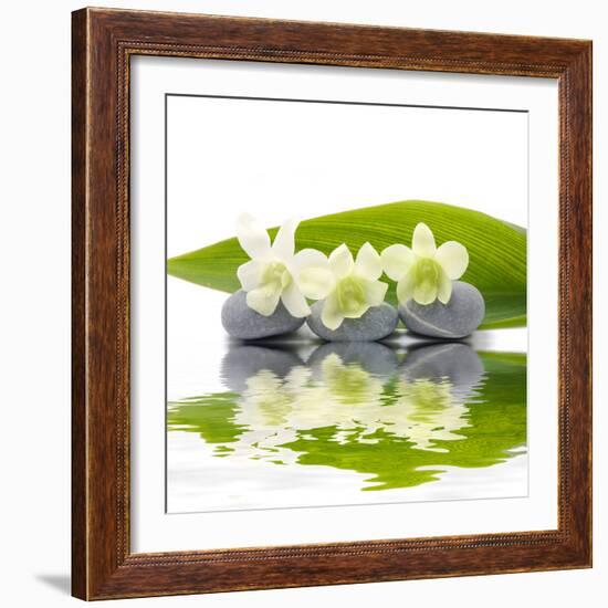 Reflection for Zen Stones and Orchid ,Green Leaf-Apollofoto-Framed Photographic Print