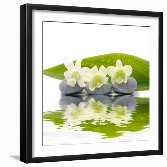 Reflection for Zen Stones and Orchid ,Green Leaf-Apollofoto-Framed Photographic Print