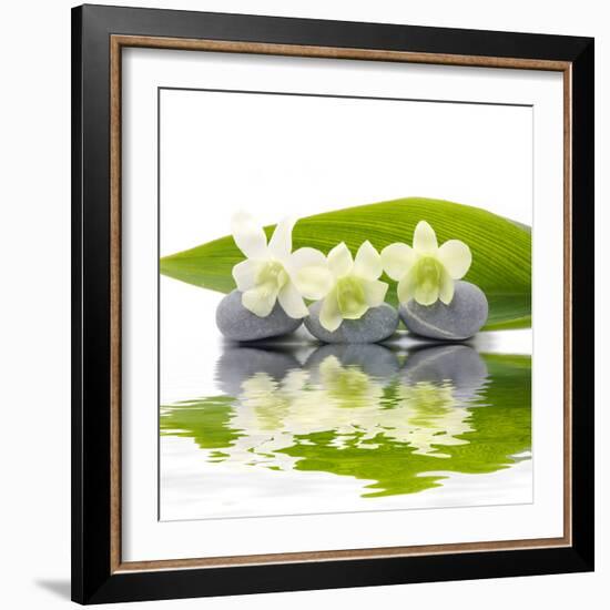 Reflection for Zen Stones and Orchid ,Green Leaf-Apollofoto-Framed Photographic Print