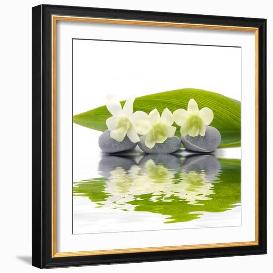 Reflection for Zen Stones and Orchid ,Green Leaf-Apollofoto-Framed Photographic Print