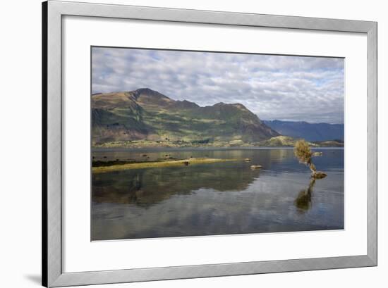 Reflection in Lake Wanaka, Wanaka, Otago, South Island, New Zealand, Pacific-Stuart Black-Framed Photographic Print