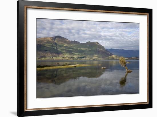 Reflection in Lake Wanaka, Wanaka, Otago, South Island, New Zealand, Pacific-Stuart Black-Framed Photographic Print