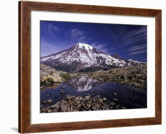 Reflection in Stream of Grinnel Glacier, Mt. Rainier National Park, Washington, USA-Jamie & Judy Wild-Framed Photographic Print