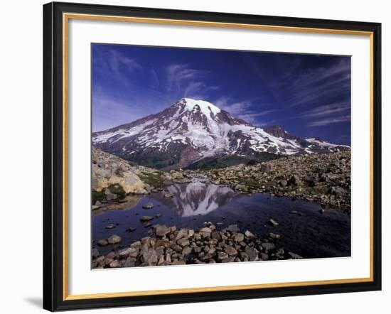 Reflection in Stream of Grinnel Glacier, Mt. Rainier National Park, Washington, USA-Jamie & Judy Wild-Framed Photographic Print