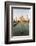 Reflection in Water. Taj Mahal at Sunset. Agra. India-Tom Norring-Framed Photographic Print