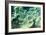 Reflection in Water-Mark Sunderland-Framed Photographic Print