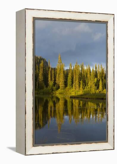 Reflection Lake. Mt. Rainier National Park, WA-Justin Bailie-Framed Premier Image Canvas