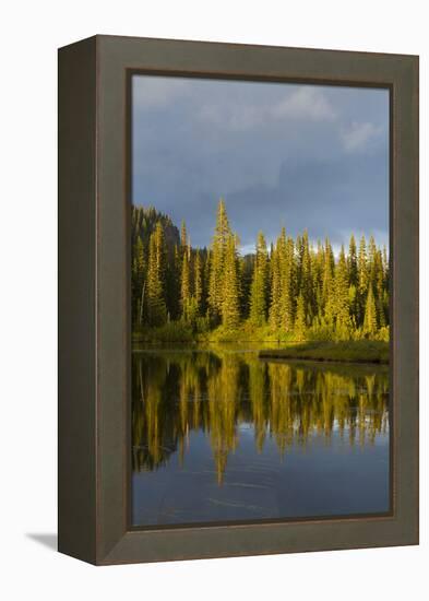 Reflection Lake. Mt. Rainier National Park, WA-Justin Bailie-Framed Premier Image Canvas