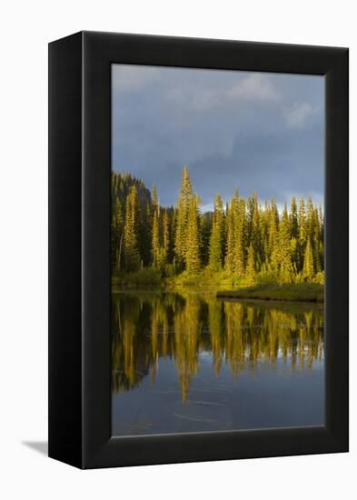 Reflection Lake. Mt. Rainier National Park, WA-Justin Bailie-Framed Premier Image Canvas