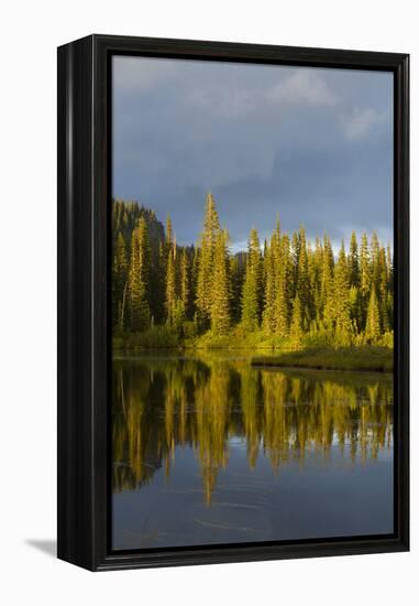 Reflection Lake. Mt. Rainier National Park, WA-Justin Bailie-Framed Premier Image Canvas