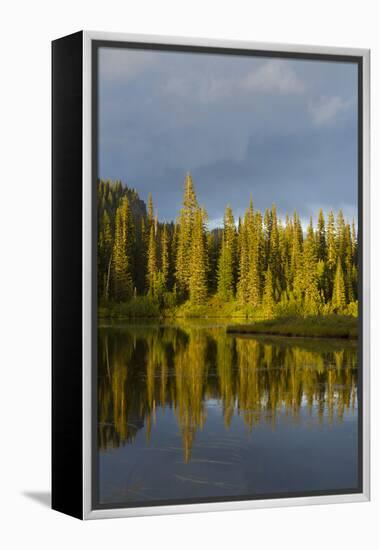 Reflection Lake. Mt. Rainier National Park, WA-Justin Bailie-Framed Premier Image Canvas