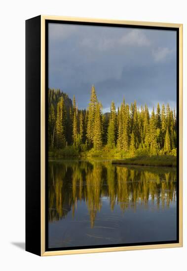 Reflection Lake. Mt. Rainier National Park, WA-Justin Bailie-Framed Premier Image Canvas