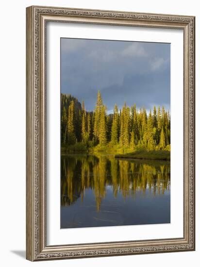 Reflection Lake. Mt. Rainier National Park, WA-Justin Bailie-Framed Photographic Print