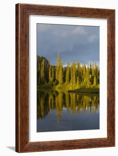 Reflection Lake. Mt. Rainier National Park, WA-Justin Bailie-Framed Photographic Print