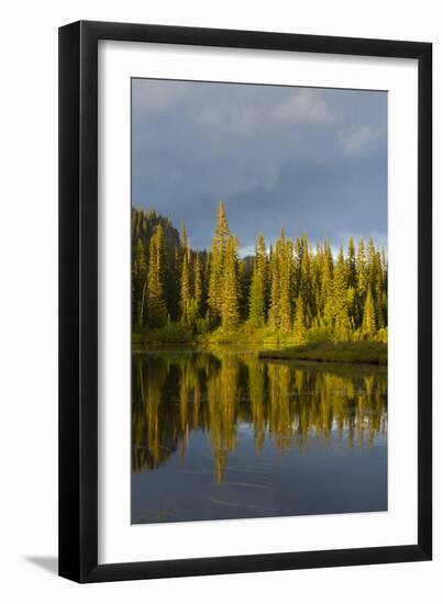 Reflection Lake. Mt. Rainier National Park, WA-Justin Bailie-Framed Photographic Print