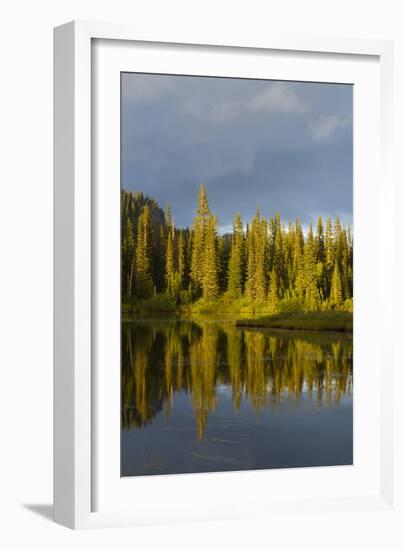 Reflection Lake. Mt. Rainier National Park, WA-Justin Bailie-Framed Photographic Print