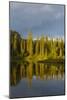 Reflection Lake. Mt. Rainier National Park, WA-Justin Bailie-Mounted Photographic Print