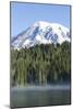 Reflection Lake. Mt. Rainier National Park, WA-Justin Bailie-Mounted Photographic Print