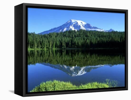 Reflection Lake, Mt. Rainier National Park, Washington, USA-Rob Tilley-Framed Premier Image Canvas