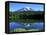 Reflection Lake, Mt. Rainier National Park, Washington, USA-Rob Tilley-Framed Premier Image Canvas