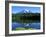 Reflection Lake, Mt. Rainier National Park, Washington, USA-Rob Tilley-Framed Photographic Print