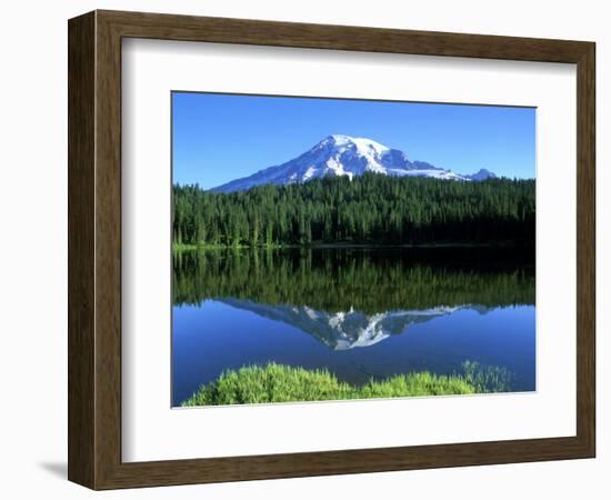 Reflection Lake, Mt. Rainier National Park, Washington, USA-Rob Tilley-Framed Photographic Print