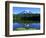 Reflection Lake, Mt. Rainier National Park, Washington, USA-Rob Tilley-Framed Photographic Print