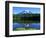 Reflection Lake, Mt. Rainier National Park, Washington, USA-Rob Tilley-Framed Photographic Print