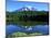 Reflection Lake, Mt. Rainier National Park, Washington, USA-Rob Tilley-Mounted Photographic Print