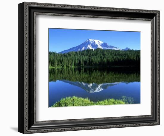 Reflection Lake, Mt. Rainier National Park, Washington, USA-Rob Tilley-Framed Photographic Print