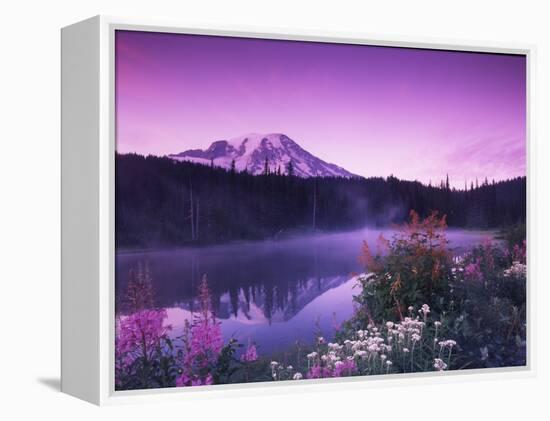 Reflection Lake with Summer Alpine Wildflowers, Mt. Rainier National Park, Washington, USA-Stuart Westmoreland-Framed Premier Image Canvas