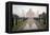 Reflection of a Mausoleum in Water, Taj Mahal, Agra, Uttar Pradesh, India-null-Framed Stretched Canvas